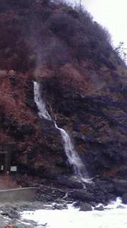 2010010612020000.jpg