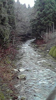 2010032416540000.jpg
