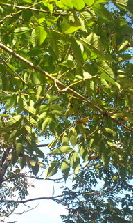 20121012143521.jpg