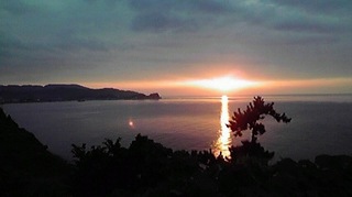 P1000061.jpg