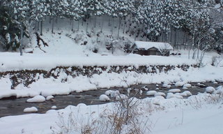 20111227112956.jpg